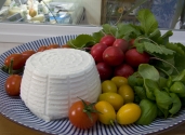ricotta fresca