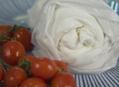 Burrata