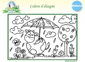 colora