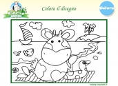 colora